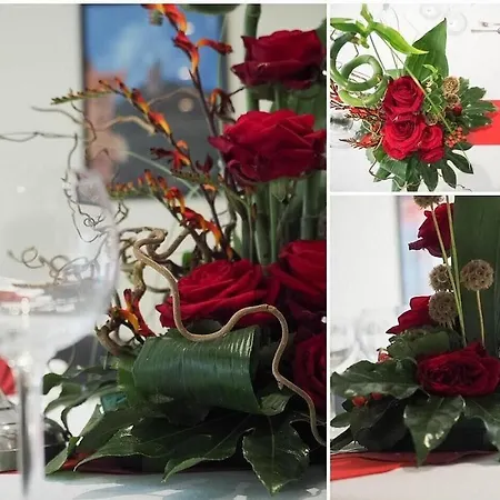 فندق Primula ترويسدورف