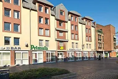 Primula ترويسدورف